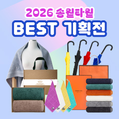 ��ǰ��ȹ���̹���