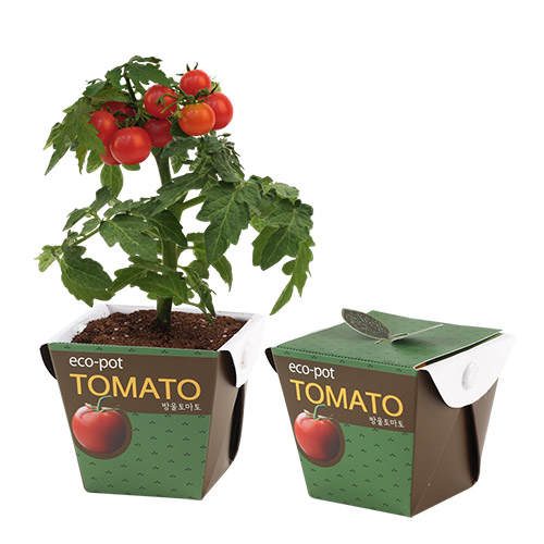 ������- ����丶��