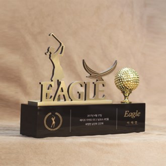 Ʈ���� hsc- 11